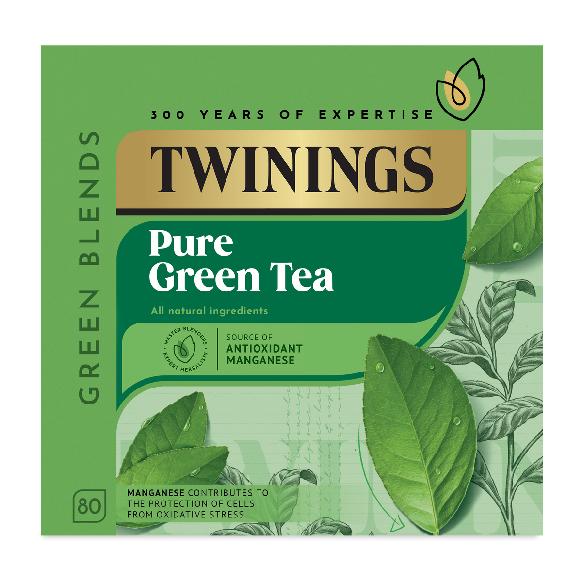Pure Green Tea Teabags 1x4x80 100017944