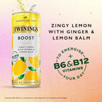 Twinings Sparkling Tea Boost 1x12 100017386