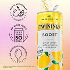 Twinings Sparkling Tea Boost 1x12 100017386