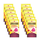 Cranberry & Raspberry Envelope 1x12x20 100017959