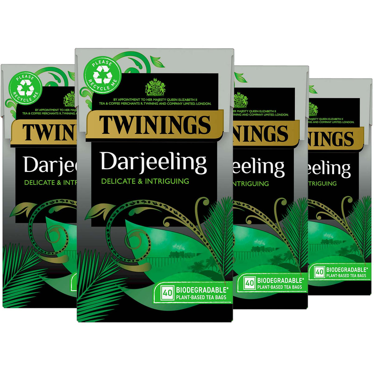 Darjeeling Teabag 1x4x40 100017754