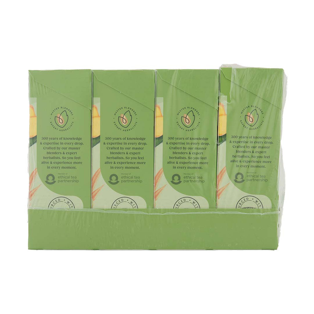 Green & Ginger 1x4x20x2g 100017939