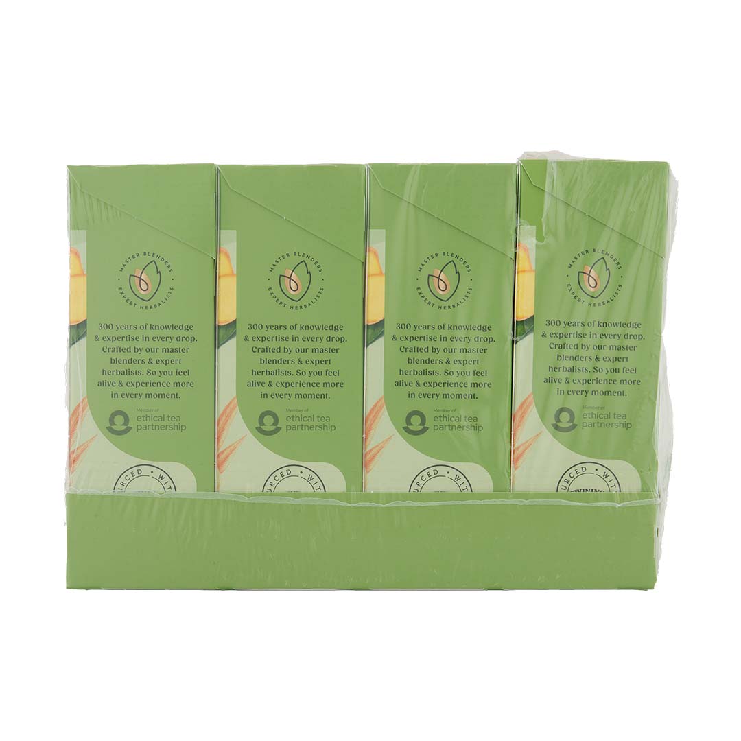 Green & Ginger 1x4x20x2g 100017939