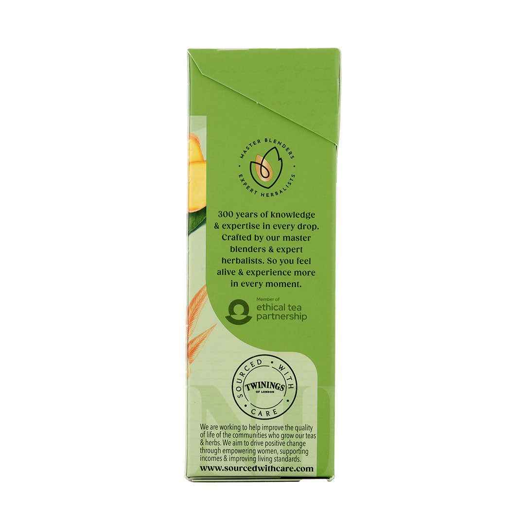Green & Ginger 1x4x20x2g 100017939