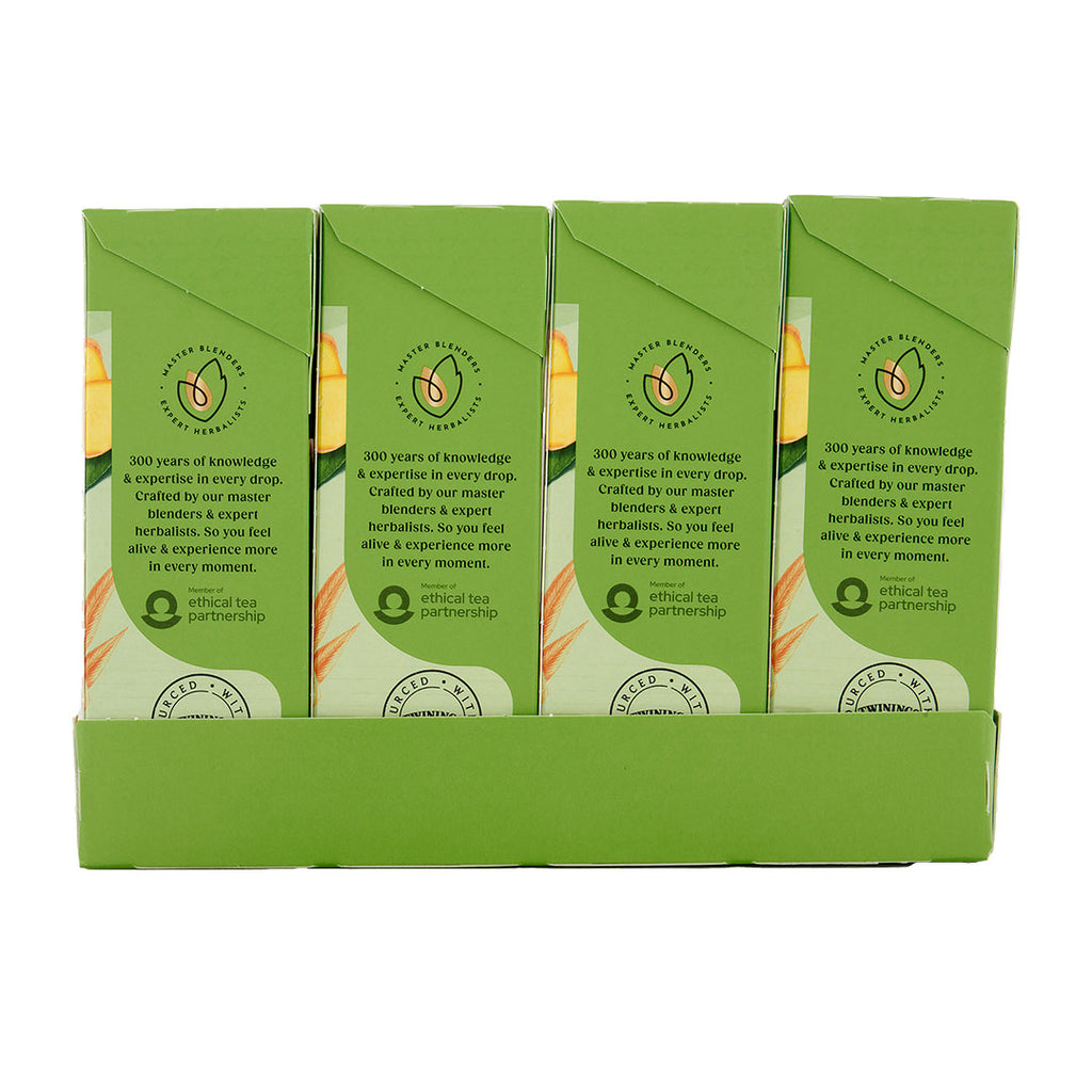 Green & Ginger 1x4x20x2g 100017939