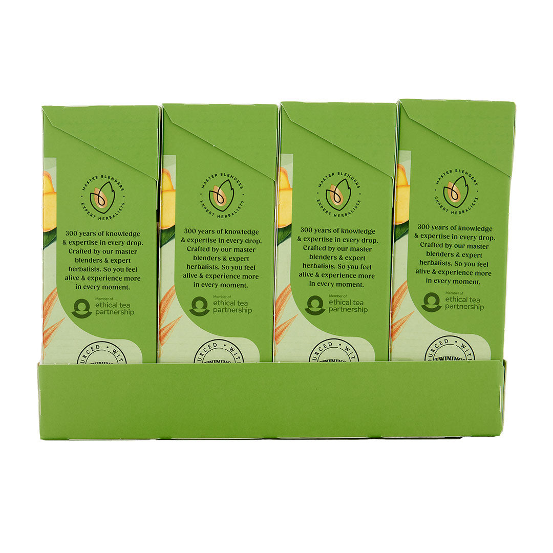 Green & Ginger 1x4x20x2g 100017939