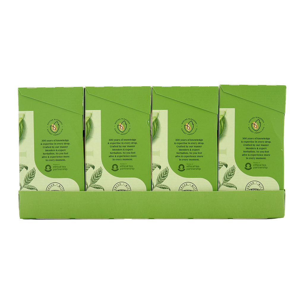 Pure Green Tea Teabags 1x4x80 100017944
