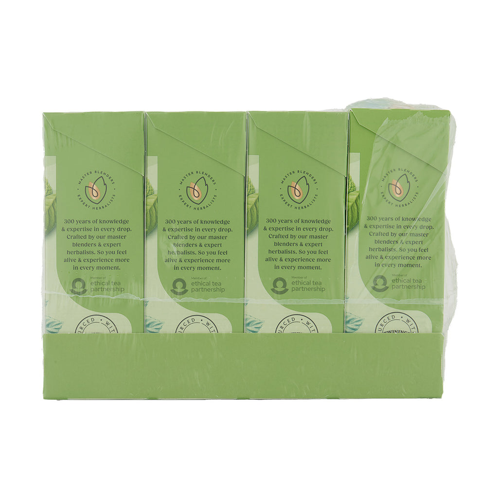 Mint Green Tea Teabag 1x4x20 100017938