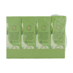 Mint Green Tea Teabag 1x4x20 100017938