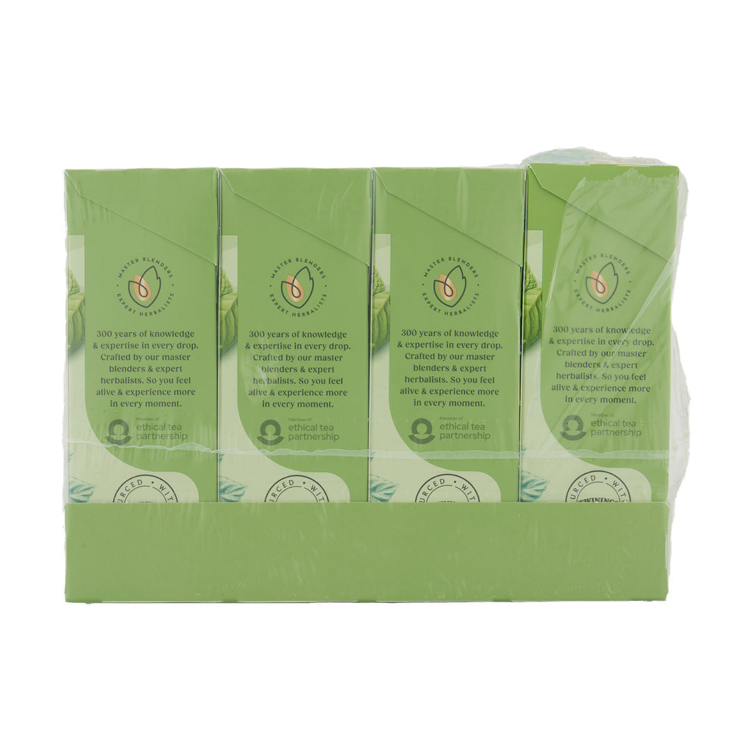 Mint Green Tea Teabag 1x4x20 100017938