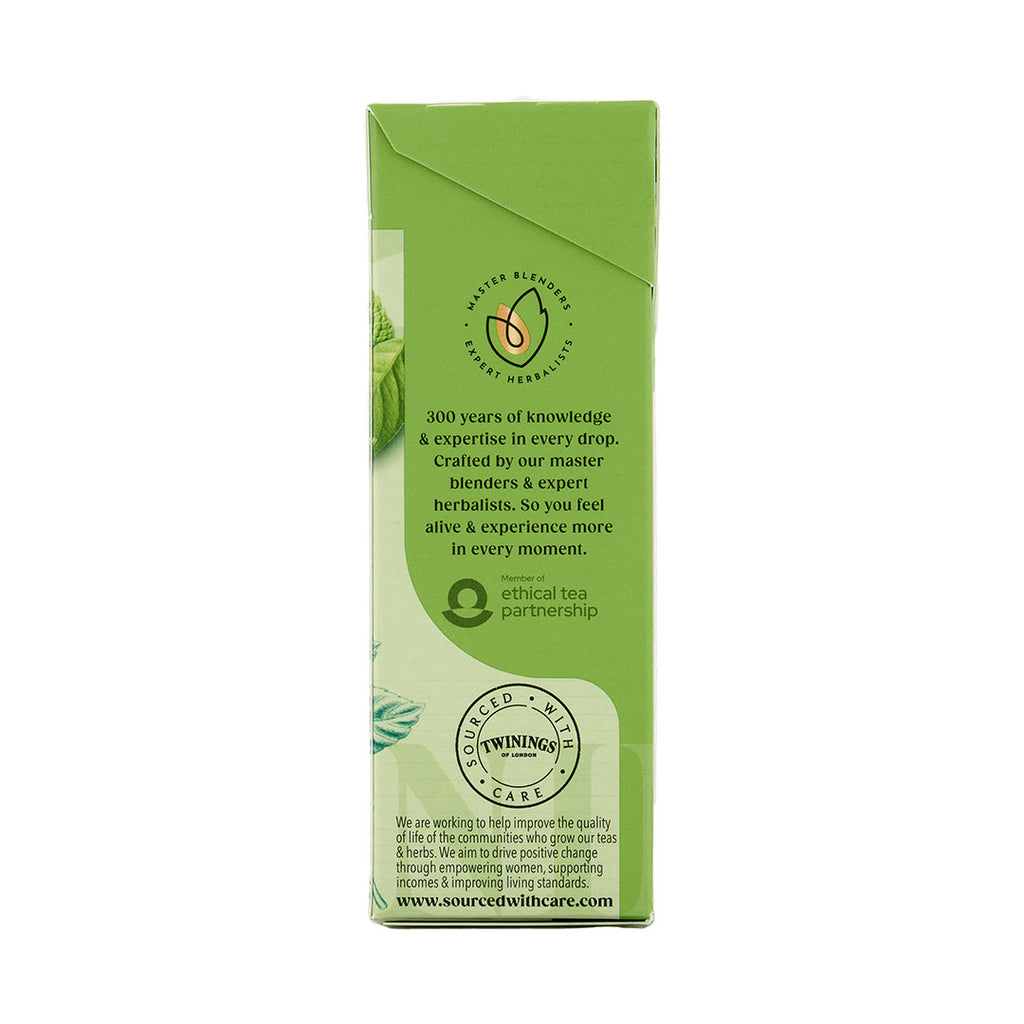 Mint Green Tea Teabag 1x4x20 100017938