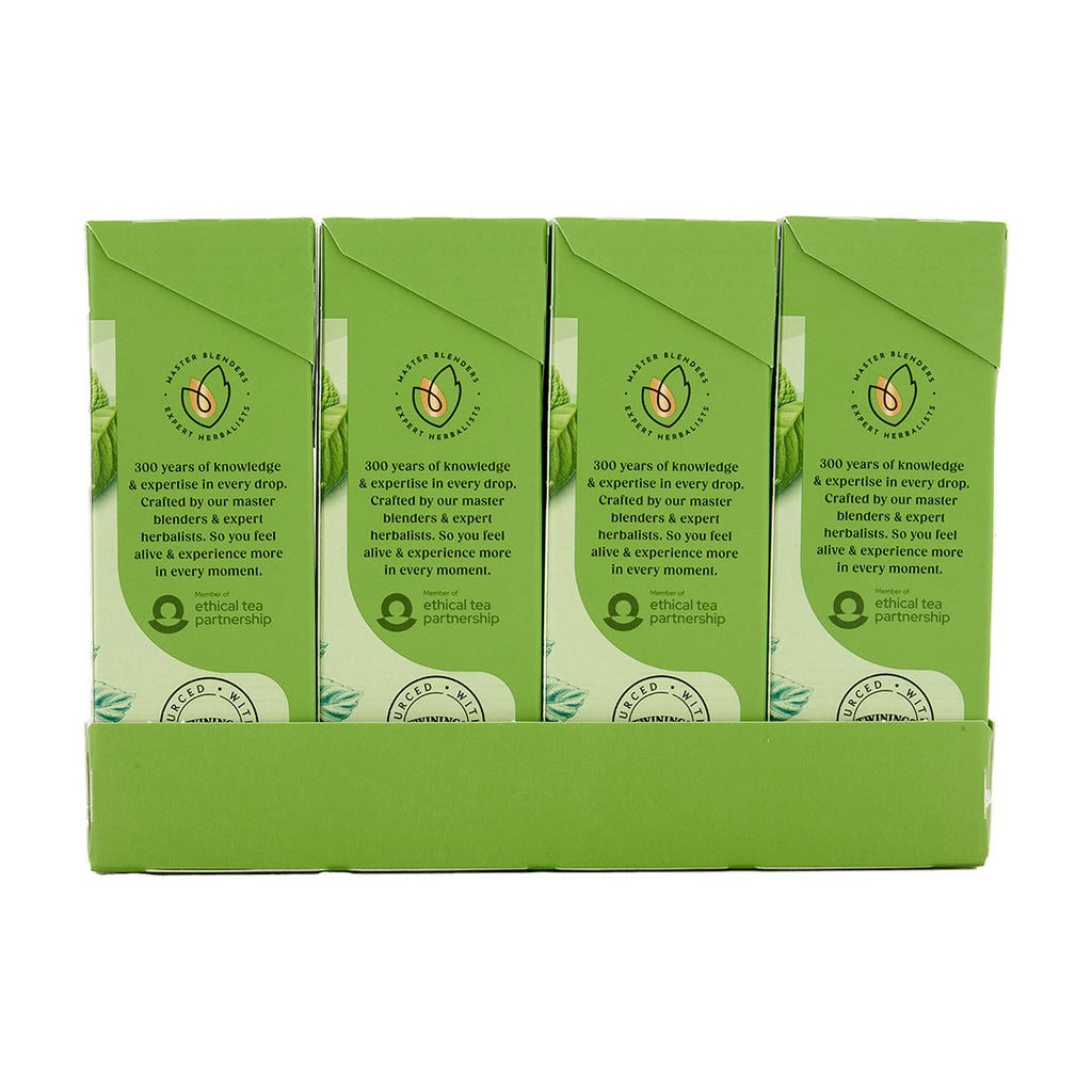 Mint Green Tea Teabag 1x4x20 100017938
