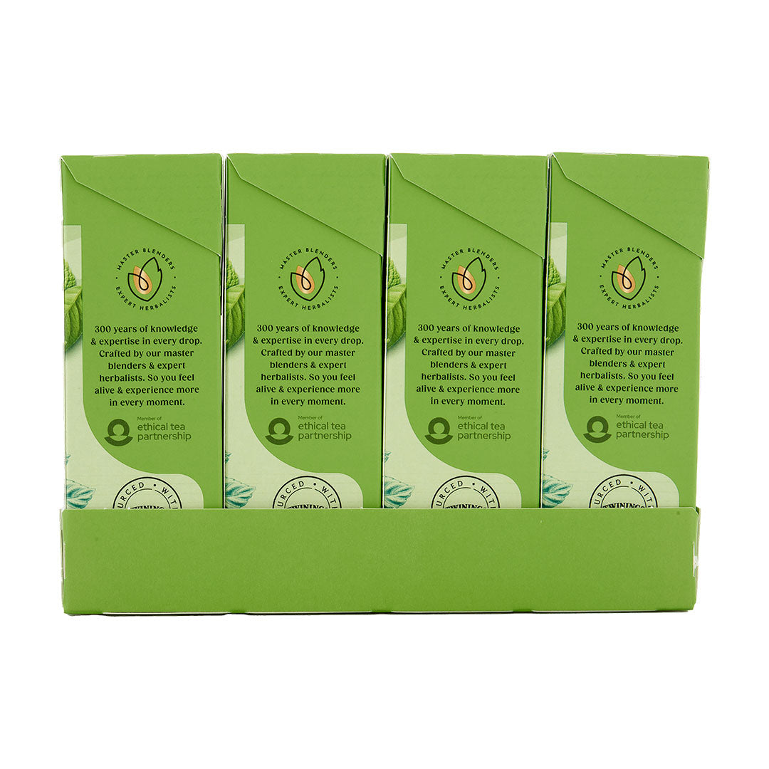 Mint Green Tea Teabag 1x4x20 100017938
