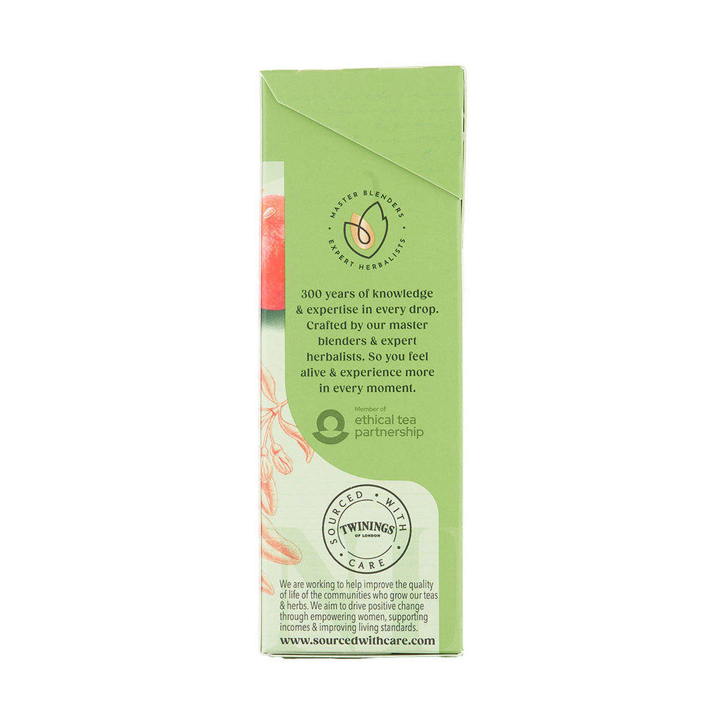Pomegranate Green Tea Teabag 1x4x20 100017941