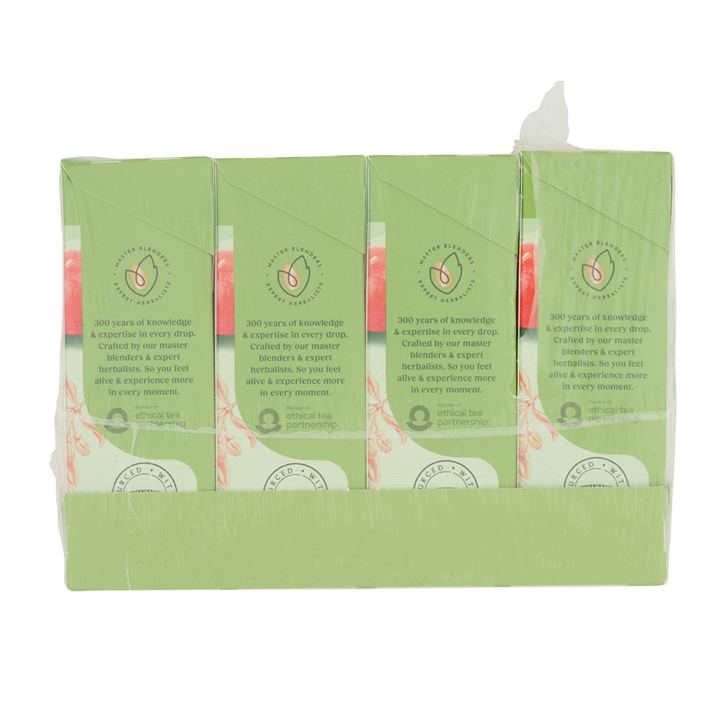 Pomegranate Green Tea Teabag 1x4x20 100017941