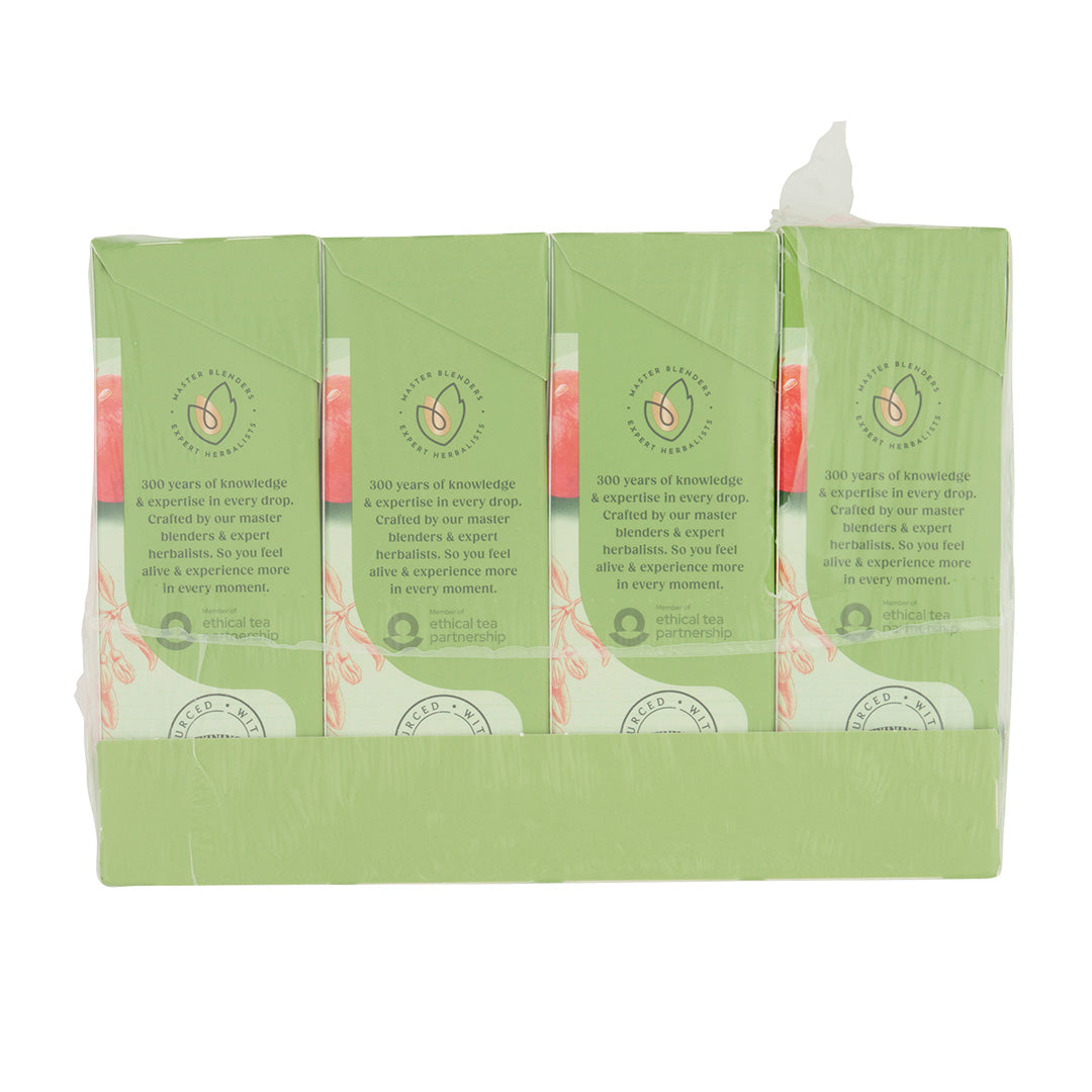 Pomegranate Green Tea Teabag 1x4x20 100017941