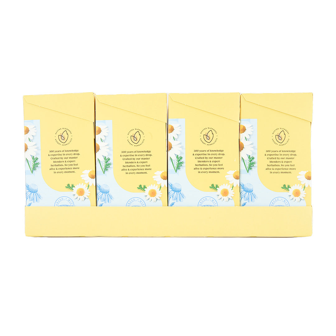 Pure Camomile 1x4x80 100017927