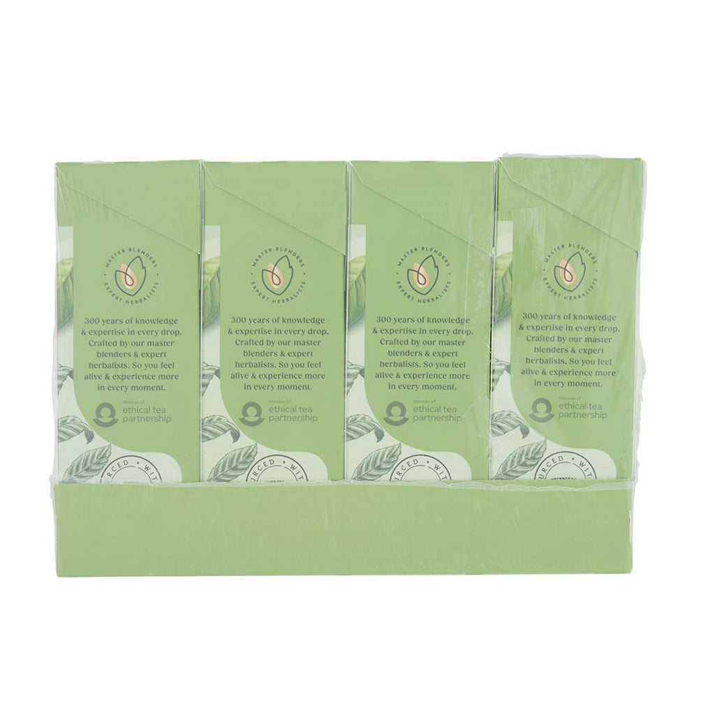 Pure Green Tea Teabag 1x4x20 100017934