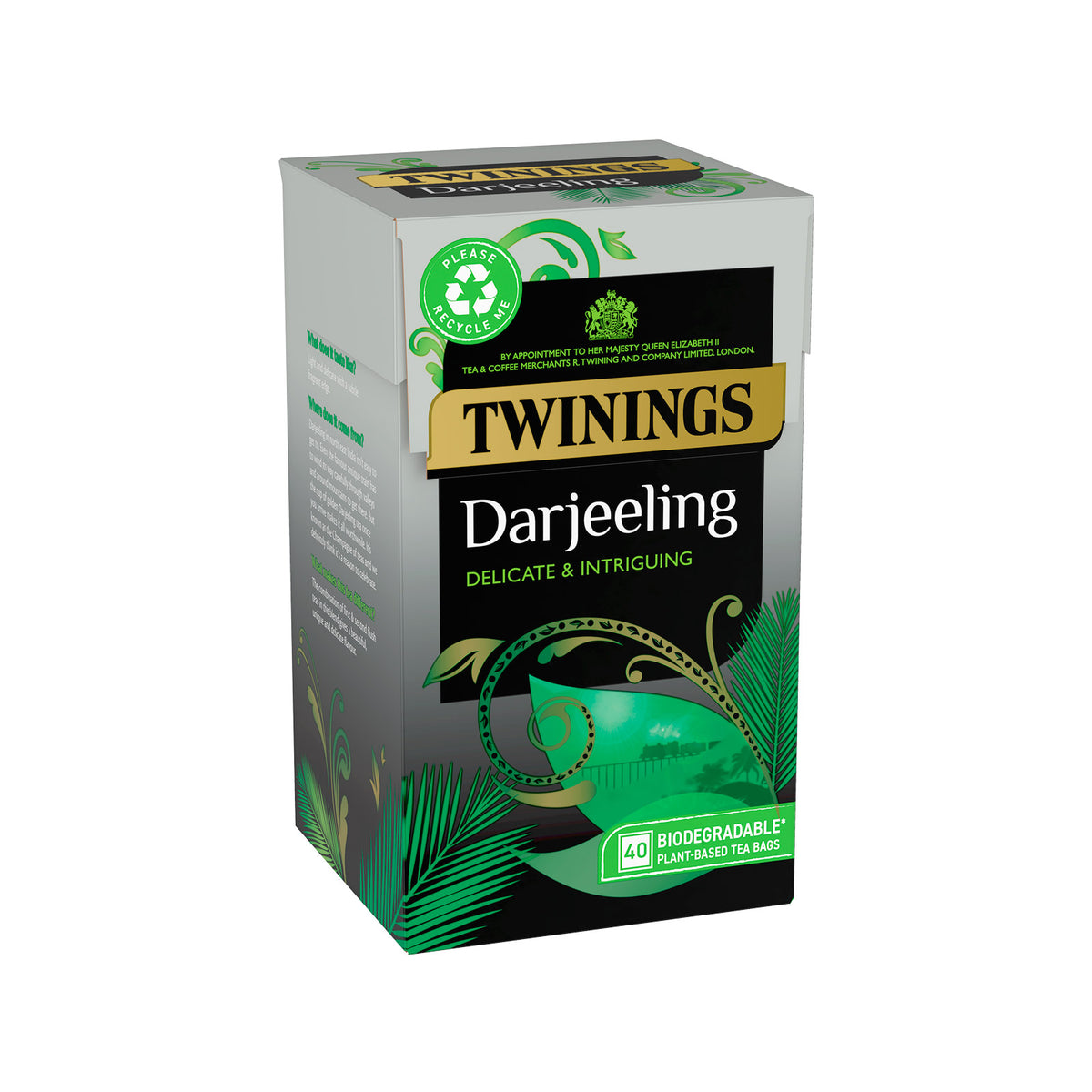 Darjeeling Teabag 1x4x40 100017754