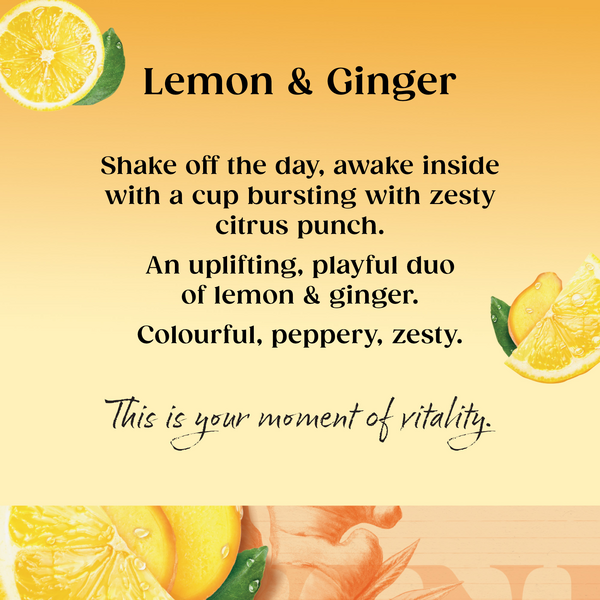 Lemon & Ginger 1x4x80 100017926