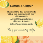 Lemon & Ginger 1x4x80 100017926